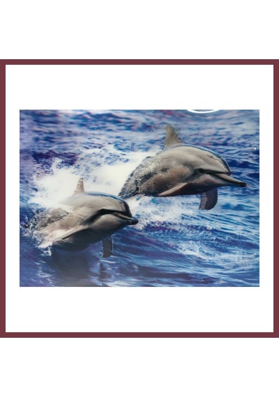 Storeşahin 3 Boyutlu Resim Sevimli Yunuslar İkili Yunus Resmi Tablosu 30x40 Cm Shn0720