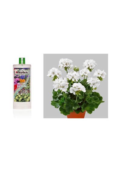 Tropikal Bitki Besini 3 Adet - Genel Kullanım 1000 Ml
