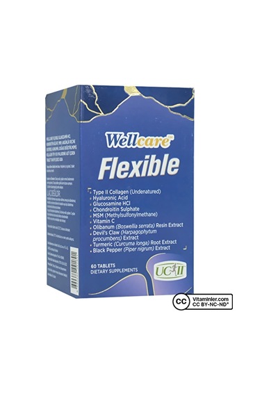 Wellcare Flexible Kolajen 60 Tablet