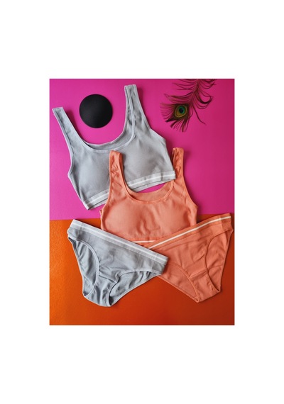 Demirsa Boutique Kaşkorse Kumaş 2'li Gül Kurusu Ve Mavi&gri Renk Pedli Sütyen Külot Takım Gülkurusu-mavi&gri Demirsa Boutique Kaşkorse Kumaş 2'li Gül Kurusu Ve Mavi&gri Renk Pedli Sütyen Külot Takım Gülkurusu-mavi&gri