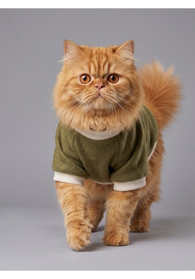 Natura Cozy Pati & Yastık Nefti Yeşil Polar Kedi Sweatshirt Ve Mini Yastık 2 Parça