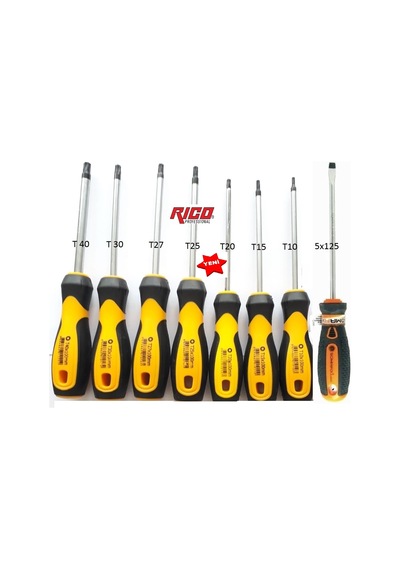 Ricotorx Uçlu Tornavida Takımı T10T15T20 T25T27T30T40