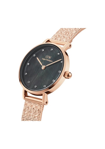 Daniel Wellington Dw00600591 Kadın Kol Saati Diğer