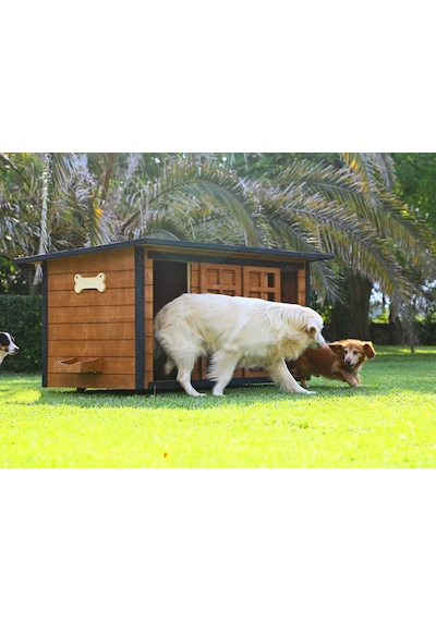 MANDU Ahşap İkiz Köpek Kulübesi (2 yuva tek kulübe) + İsimlik ve