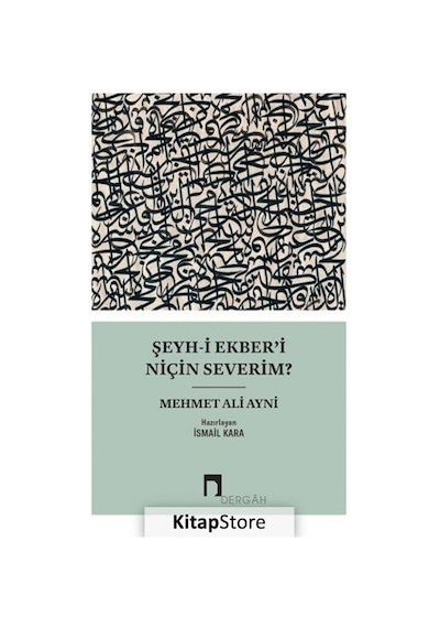 Şeyh-i Ekberi Niçin Severim? - Mehmet Ali Ayni - Dergah Yayınları