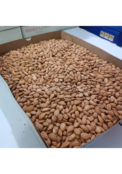 Toptan Kayısı Çekirdeği 25 Kg 25 KG