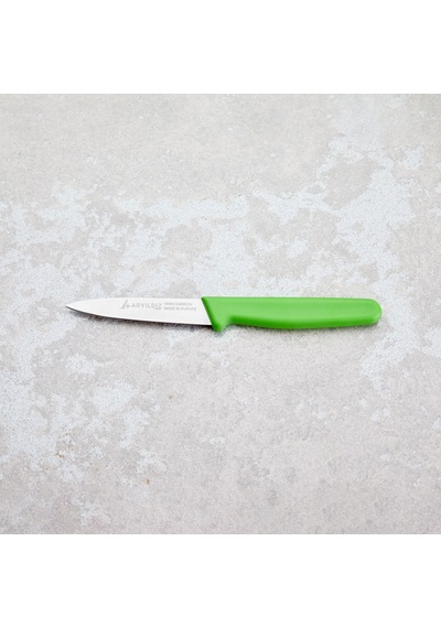 Aryıldız Solo Sebze Bıçağı Yeşil 10 Cm Renkli
