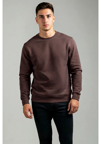 Benerly Erkek Bisiklet Yaka Standart Kol Regular Kalıp Sweatshirt Fonksiy Kahverengi