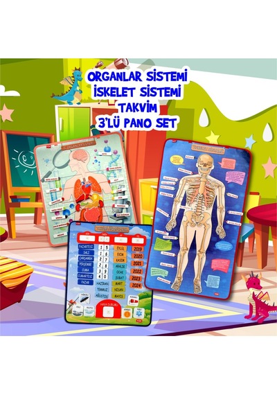 3 Set -106 Parça Tox İç Organlar . İskelet Sistemi ve Takvimi Öğ
