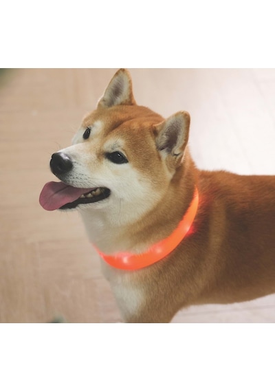 M-pets Flash Led Boyun Tasma Orange S