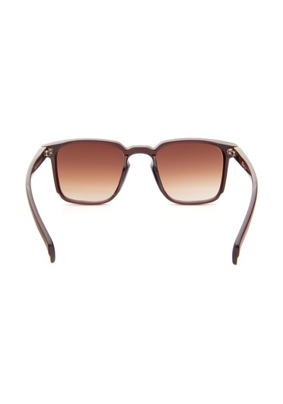 Falenti Ae981-c2 49 Unisex Güneş Gözlüğü Kahverengi