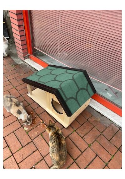 Reyo Narım Ahşap Mama Standlı Tırmalama Tahtalı Özel Tasarım Kedi Barınağı, Kedi Barınağı 74x45 Cm