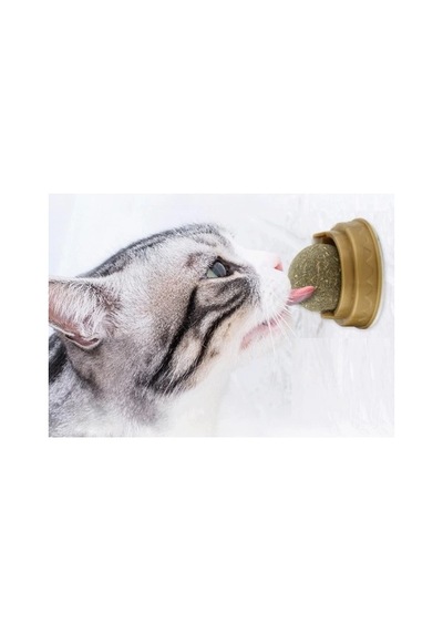 Kedi Kıyafeti Kedi Otu Oyun Topu