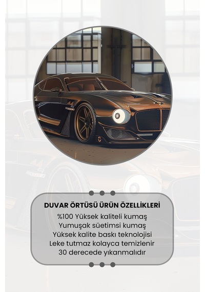Klas Spor Araba Desenli Duvar Halısı Duvar Örtüsü Tapestry Süet Dokulu Kumaş