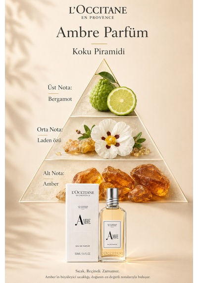 Ambre Parfüm, Edp, Unisex, Amber Ve Bergamot Notaları, 50 Ml Aromatik