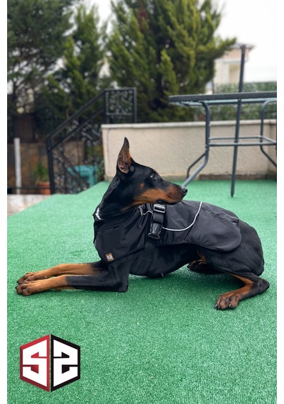 Salya Store Büyük Ve Orta Irk Su Geçirmez Köpek Montu Km-104