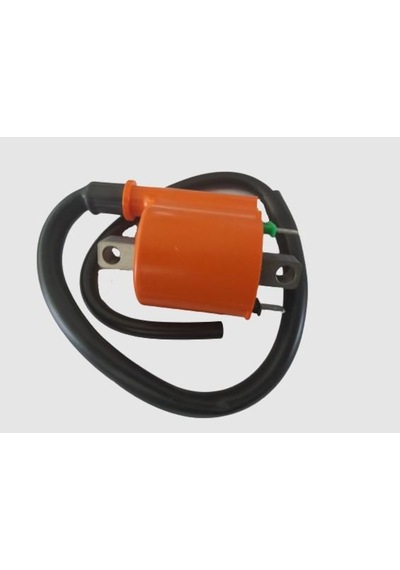 Honda Spacy 110 Ateşleme Bobini (495157163)