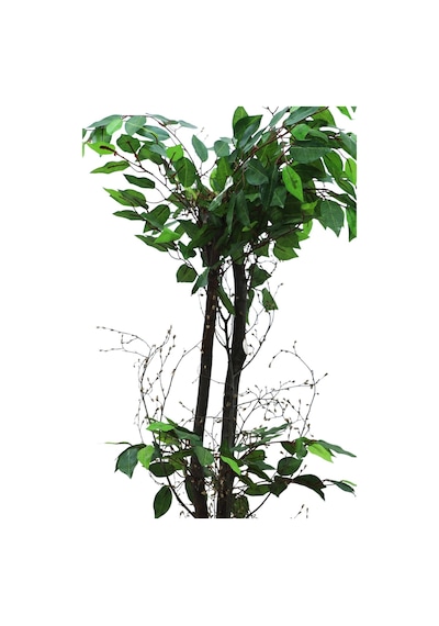 Cihan Çiçekçilik Benjamim 100 Cm Yapay Ağaç 12x12 Metal Saksı Beyaz- Yeşil