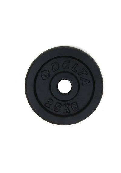 Delta 2.5 Kg x 2 Adet Dura-strong Çiftli Siyah Döküm Plaka