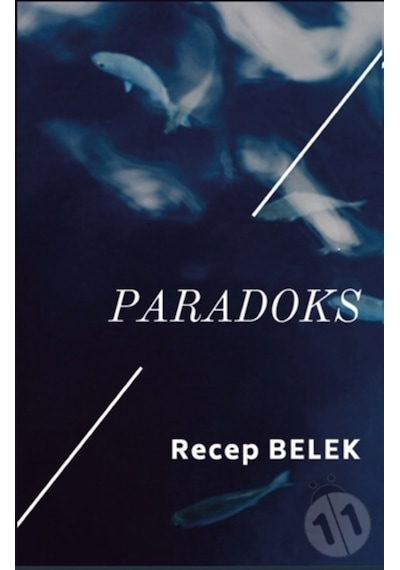 Paradoks - Recep Belek - Platanus Publishing