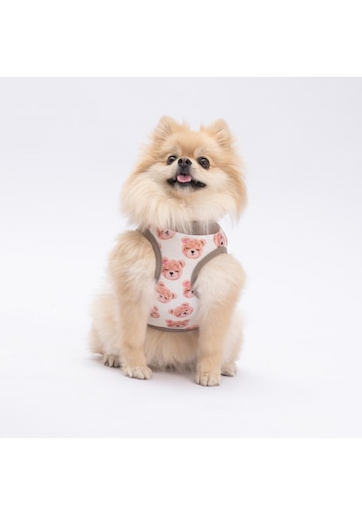 Cute Bears Kedi Köpek Tişörtü - Kedi Köpek Kıyafeti