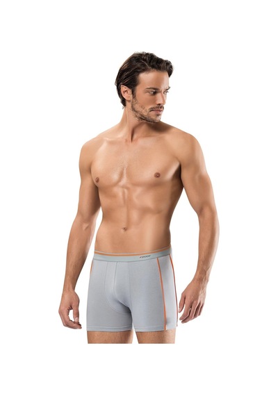 Erdem Gri Boxer 1431 Gri