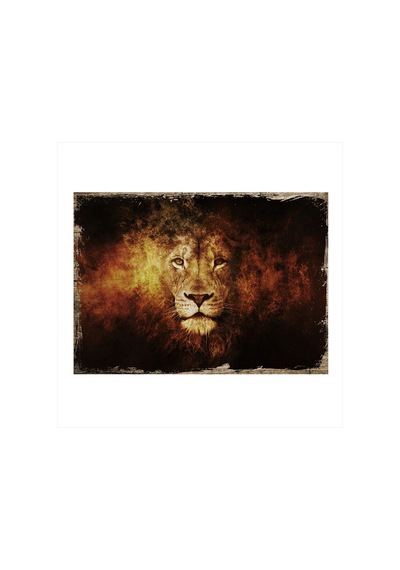 Bedeko Yaşlı Aslan Art Mdf Poster 25 Cm X 35 Cm