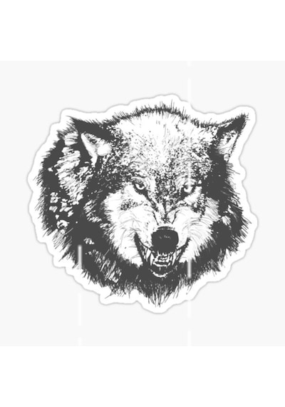 Öfkeli Kızgın Kurt Araba Sticker Oto Yapıştırması 18Cm X2