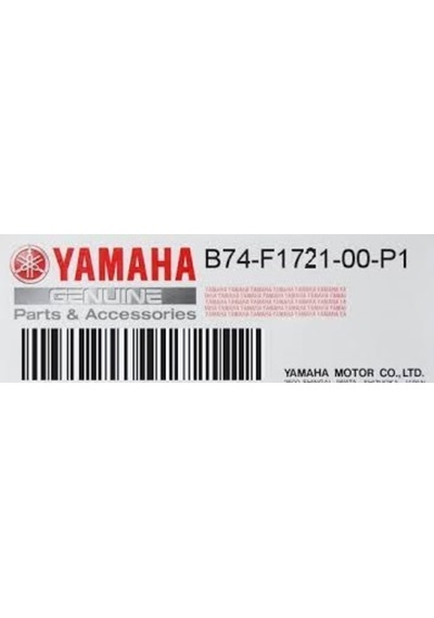 Yamaha Xmax250 Or.  Sağ Yan Z Kapak Mat Gümüş B74-F1721-00-P1