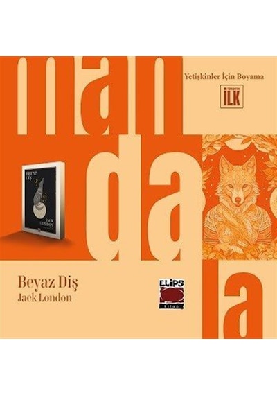 Mandala Dünyası Beyaz Diş / Kolektif
