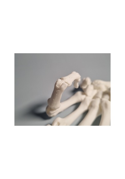 Gerçekçi Eklemli Anatomik El Modeli Bilgisayarlı Tomografi Taraması Detaylı Tıp Ve Biyoloji Eğitim Materyali Masaüstü Aksesuar