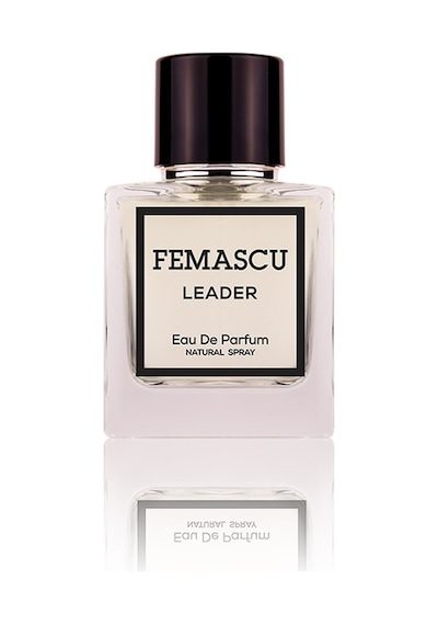 Femascu 6626 Leader Erkek Parfüm EDP 50 ML