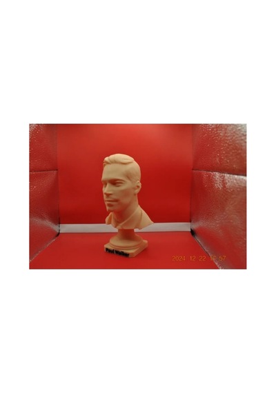 Paul Walker Büstü 15 Cm