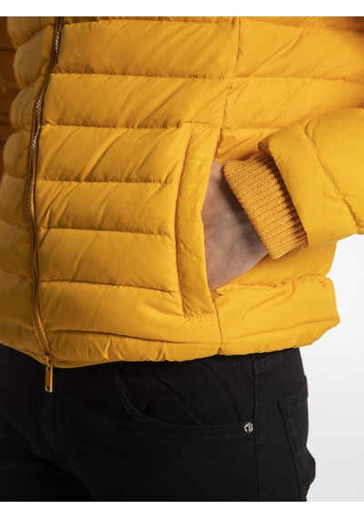 Iceberg  Erkek Mont  Ic574Mt Sarı
