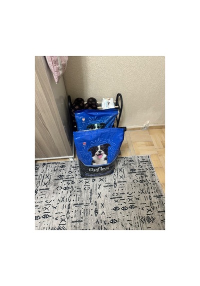 Plus Somonlu Orta Ve Büyük Irk Yetişkin Köpek Maması 12 Kg - 928308519
