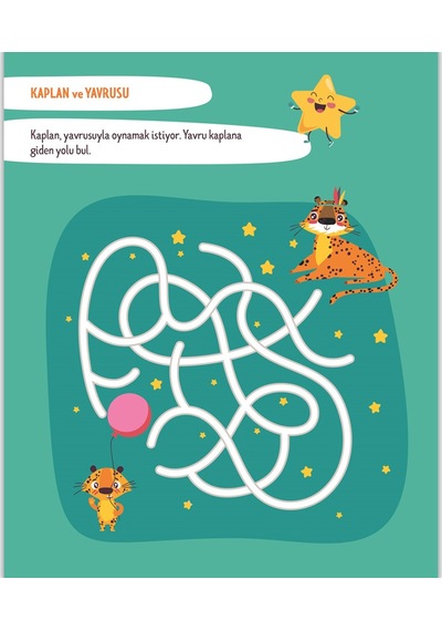 Eğlenceli Labirentler Etkinlik Kitabı Yazılıp Silinebilir
