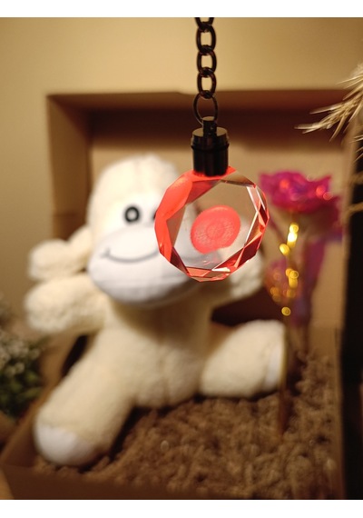 Kutulu Hediye Seti / Peluş Kuzu 24cm - Renk Değiştiren Işıklı Anahtarlık - Sonsuzluk Gülü