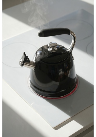 Teatime Paslanmaz Çelik Düdüklü Su Isıtıcısı Siyah - 3 L Diğer