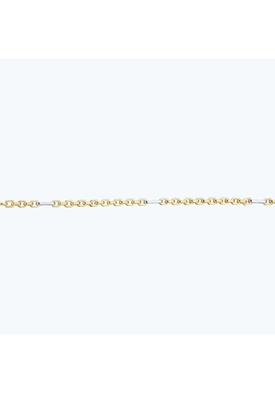 Altınbaş Altın Zincir Bileklik Azcbl0018-y-25253 Çok Renkli