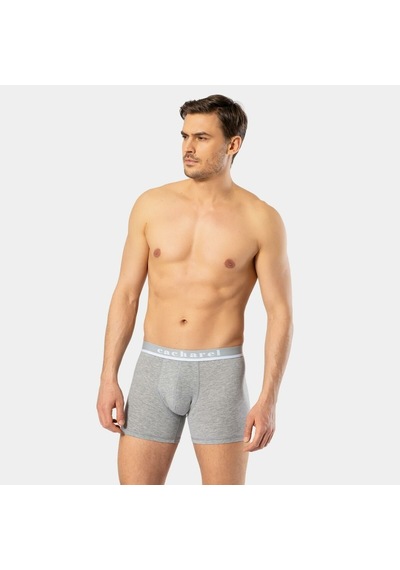 Cacharel Erkek Likralı Boxer 1315/gri Gri