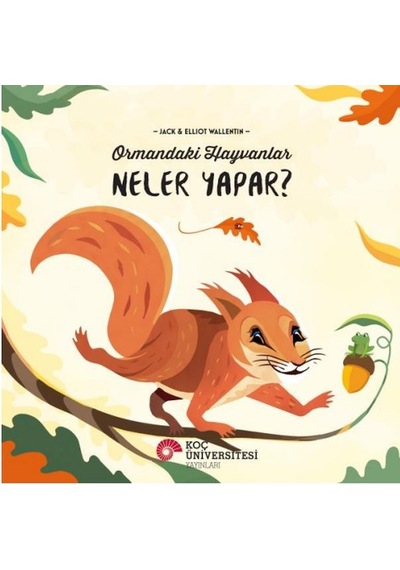 Ormandaki Hayvanlar Neler Yapar