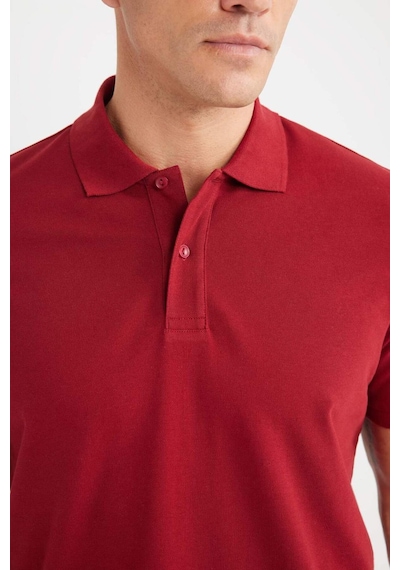DeFacto %100 Pamuk Regular Fit Polo Yaka Kısa Kollu Basic Düz Pike Kumaş Tişört C1293AX25SPBR229 DeFacto %100 Pamuk Regular Fit Polo Yaka Kısa Kollu Basic Düz Pike Kumaş Tişört C1293AX25SPBR229