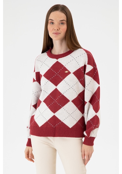U.S. Polo Assn. Kadın Koyu Frambuaz Bisiklet Yaka Kazak 50314665-VR104