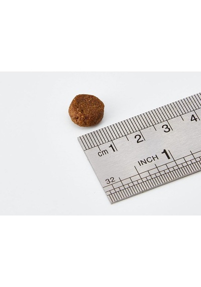 Wetlands Tahılsız Yetişkin Köpek Maması 12,2 Kg