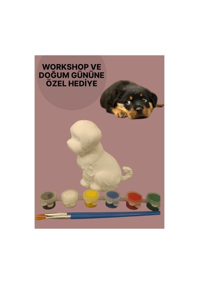3d Köpek Figür Boyama Seti - Kendin Boya Hobi Ve Etkinlik Seti - Akrilik Boya + 2 Fırça