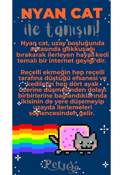 Petjoo 2.Nyan Cat Gri-Turuncu Qr'lı Kedi Künyesi