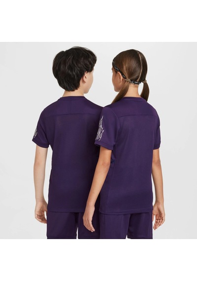 Nike Nıke Kylıan Mbappe Unısex Çocuk T-shırt Hq3688-585 Mor