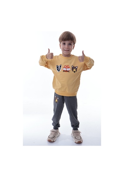 Erkek Çocuk Hayvan Figürlü Sarı Sweatshirt Ve Gri Eşofman Takımı Yumuşak Kumaş, Rahat Kalıp Takım Sarı