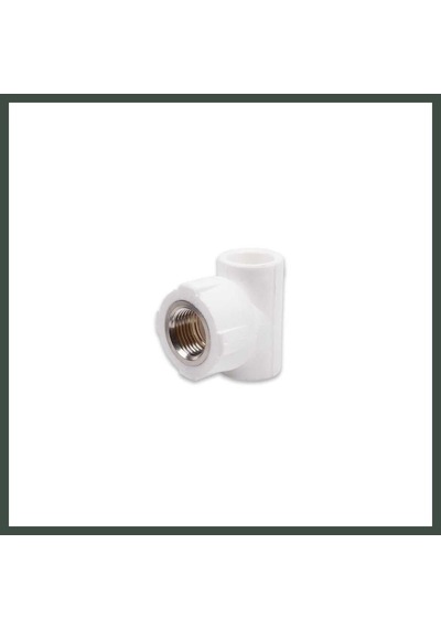 Bezos Pprc 20mm1/2 İç Dişli T 1 Adet Nhr Diğer