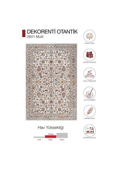 Hoom Rugs Otantik 2601 Renkli Vintage Desenli Salon Halısı Çok Renkli